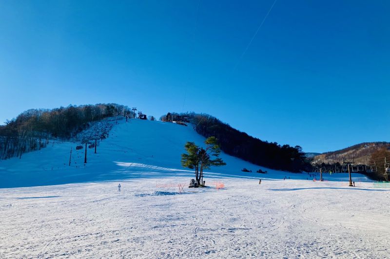 メインの天狗山ゲレンデ